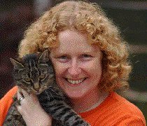 Bitmap Image